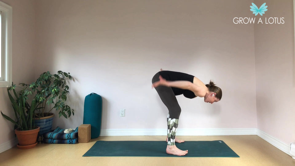 PreNatal: Chest Openers